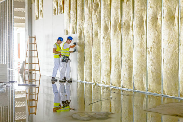 Best Specialized Insulation Services in Oak Ridge, NC